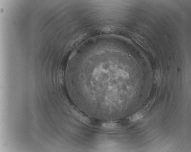 X0000063510470200601271815