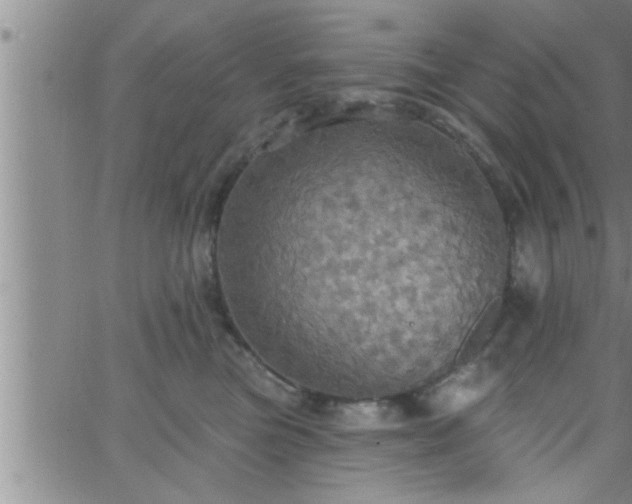 X0000063510473200601271815