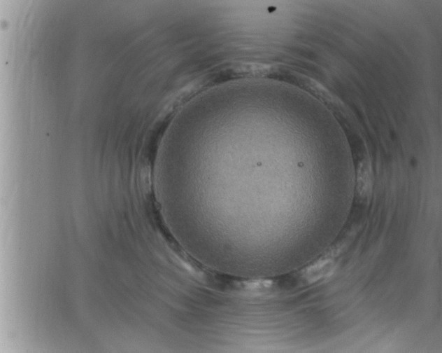 X0000063510474200601271815