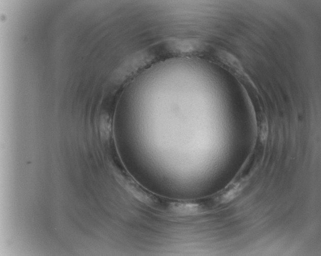 X0000063510476200601271815