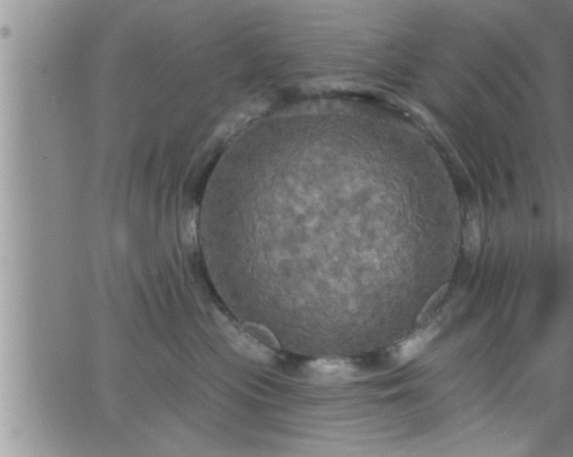 X0000063510477200601271815