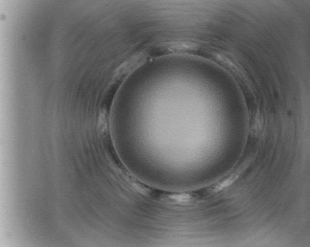 X0000063510478200601271815