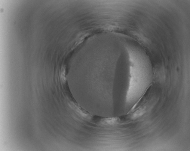 X0000063510479200601271815