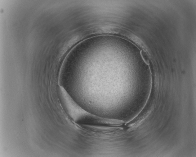 X0000063510481200601271814