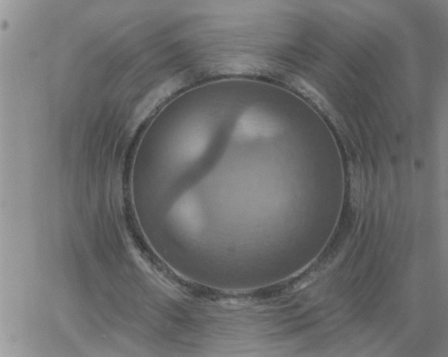 X0000063510482200601271814