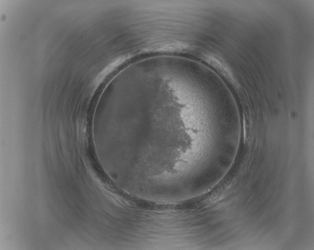 X0000063510483200601271814