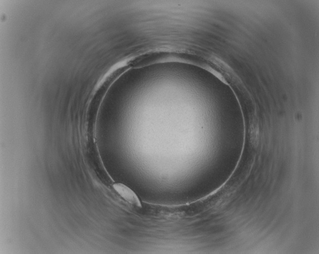 X0000063510484200601271814