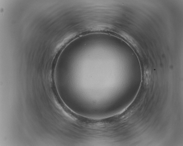 X0000063510485200601271814