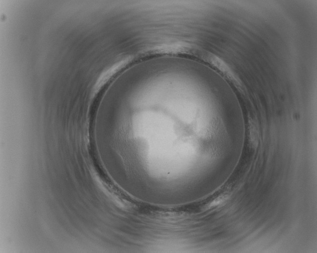 X0000063510486200601271814