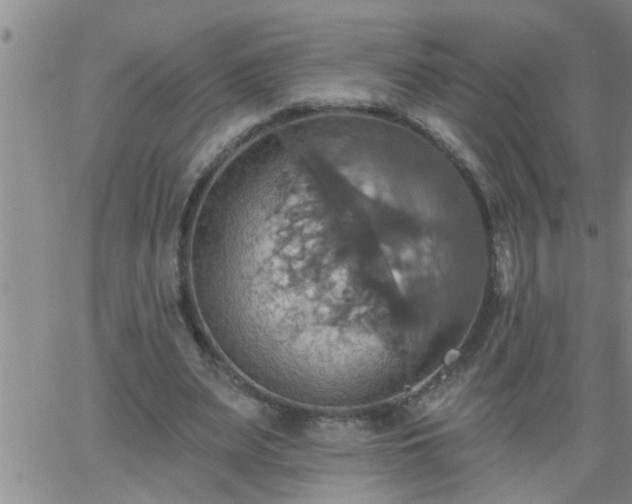 X0000063510487200601271814