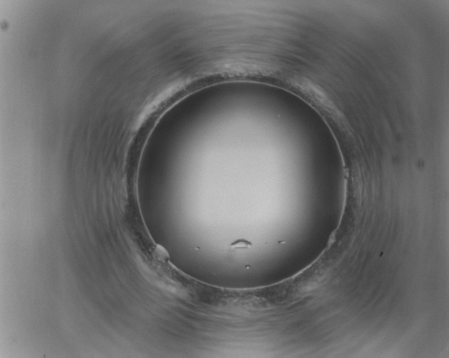 X0000063510488200601271814