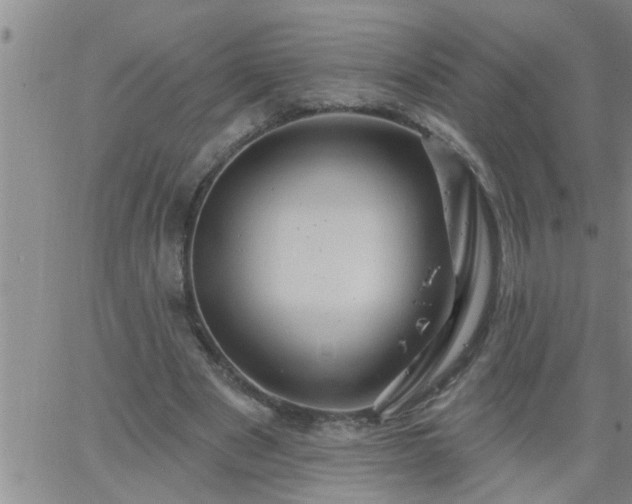 X0000063510489200601271814