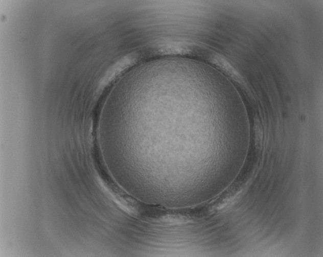 X0000063510490200601271814