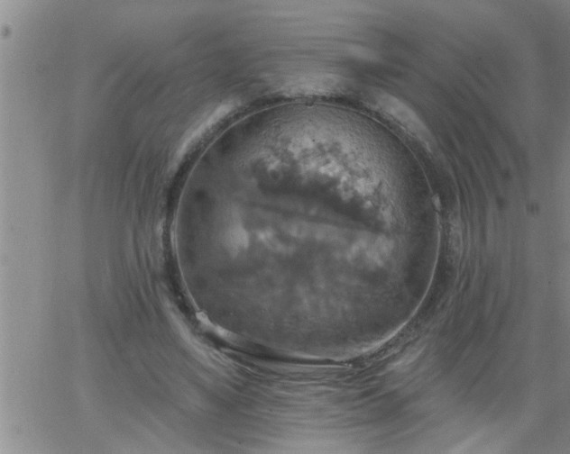 X0000063510491200601271814