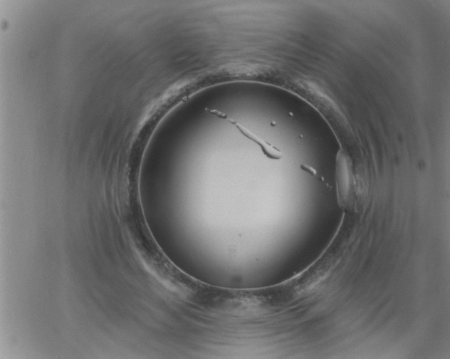 X0000063510492200601271814