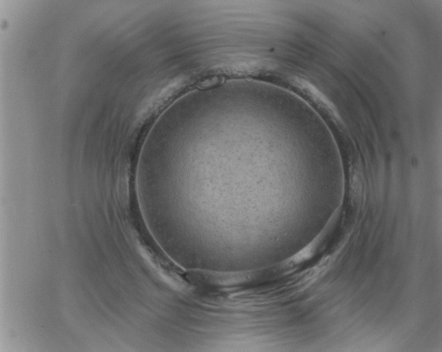 X0000063510493200601271814