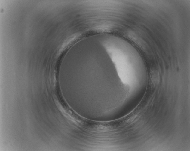 X0000063510494200601271814