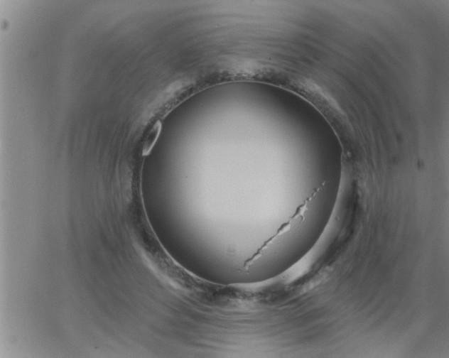 X0000063510496200601271814