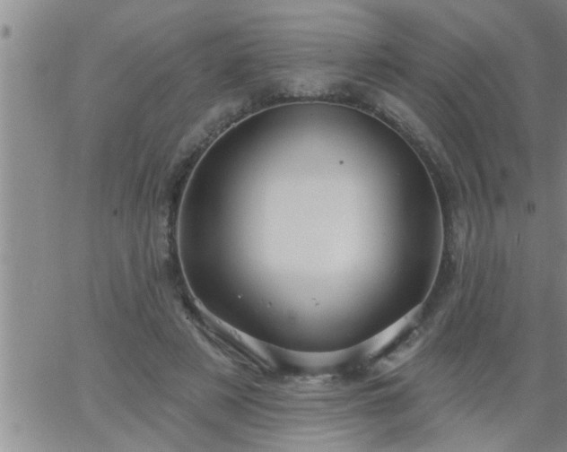 X0000063510497200601271814