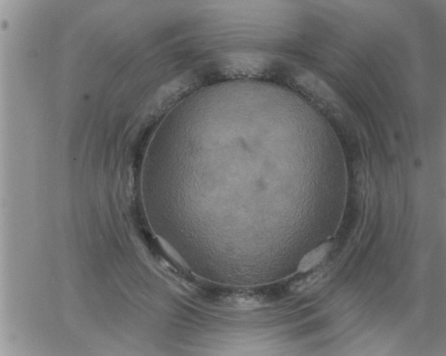 X0000063510498200601271814