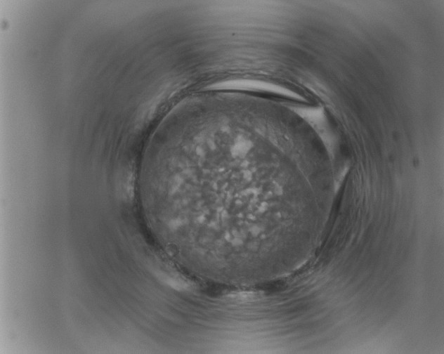 X0000063510499200601271814