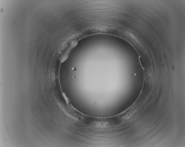 X0000063510500200601271814