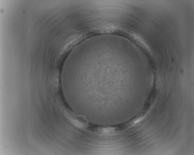 X0000063510501200601271814