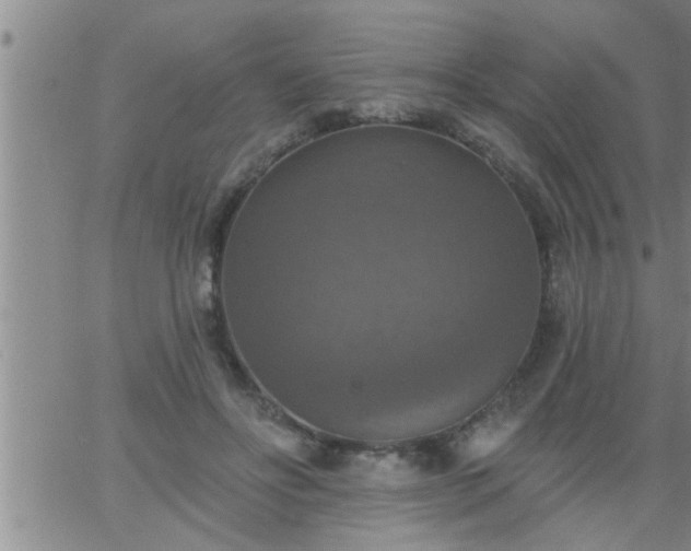 X0000063510502200601271814