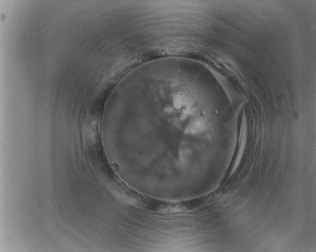 X0000063510503200601271814