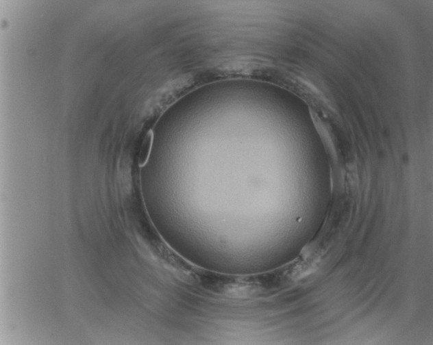 X0000063510504200601271814