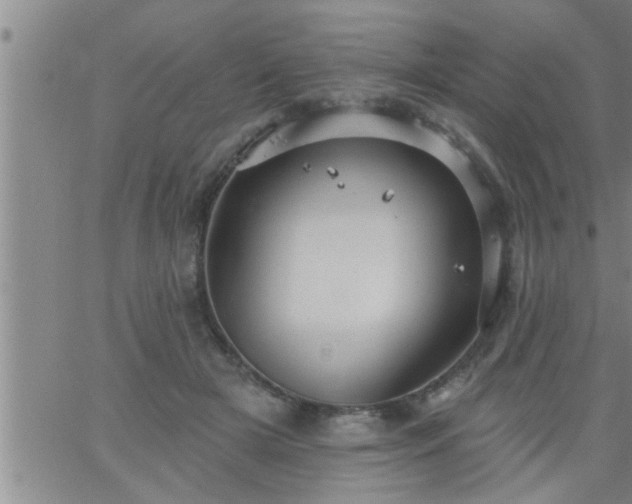 X0000063510505200601271814