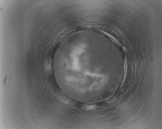 X0000063510507200601271814