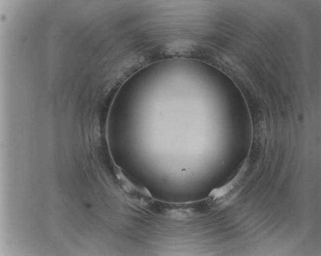 X0000063510508200601271814