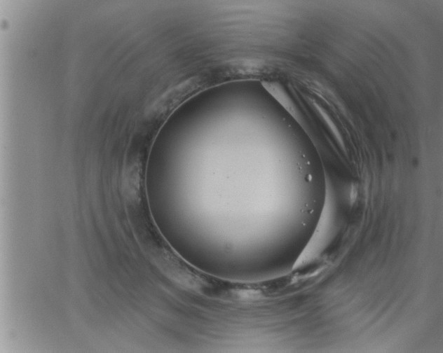 X0000063510509200601271814