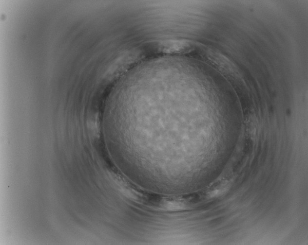 X0000063510510200601271814