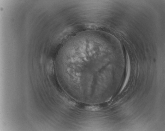 X0000063510511200601271814