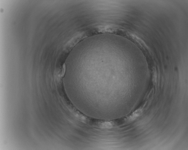 X0000063510513200601271814