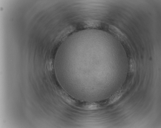 X0000063510514200601271814