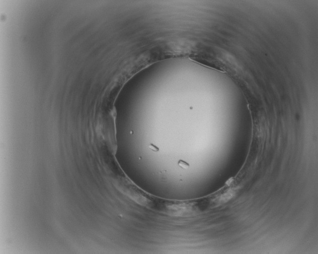 X0000063510516200601271814