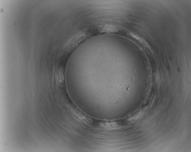 X0000063510517200601271814