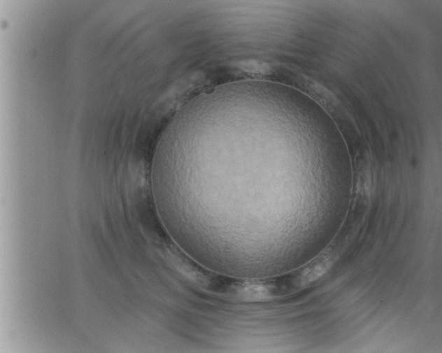 X0000063510518200601271814