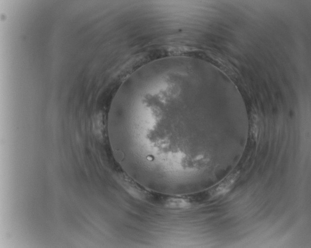 X0000063510519200601271814