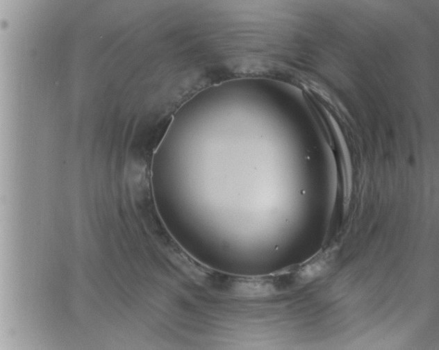 X0000063510521200601271814