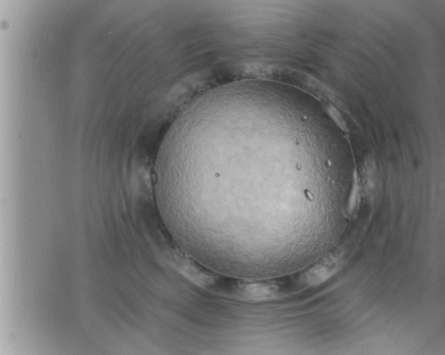 X0000063510522200601271814