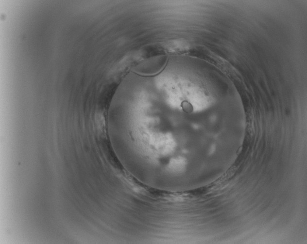 X0000063510523200601271814