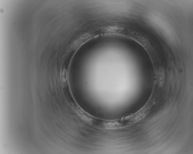 X0000063510525200601271814