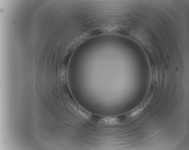 X0000063510526200601271814