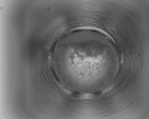 X0000063510527200601271814