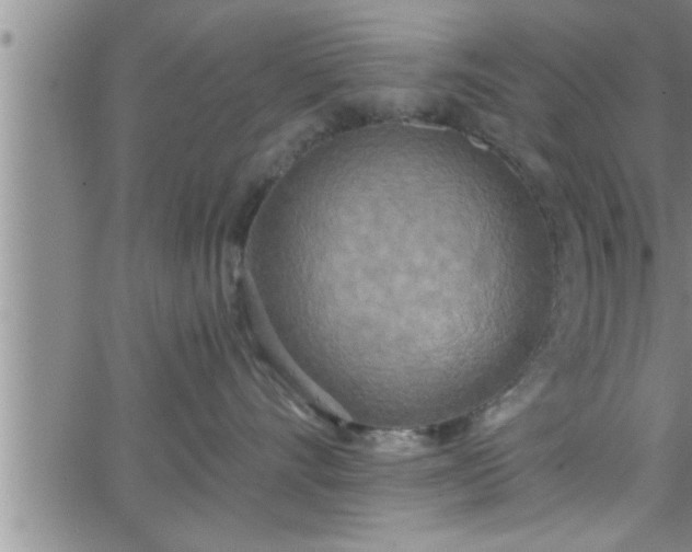 X0000063510528200601271814