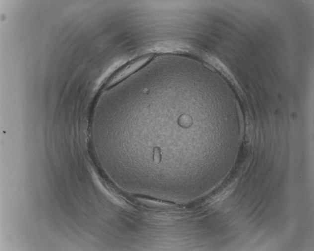 X0000063510530200601271813